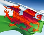 The Welsh Flag